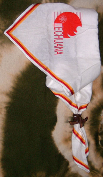 Il foulard di Techuana